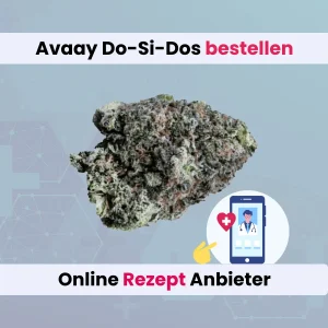Avaay Do-Si-Dos online bestellen