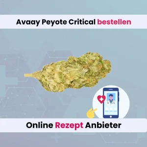 Avaay Peyote Critical online bestellen
