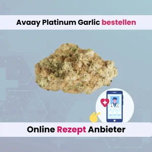 Avaay Platinum Garlic online bestellen