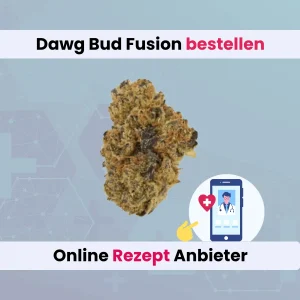 Dawg Bud Fusion cannamedical online bestellen
