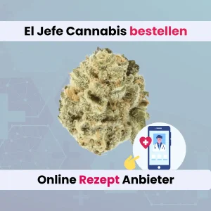 El Jefe Cannabis cannamedical online bestellen
