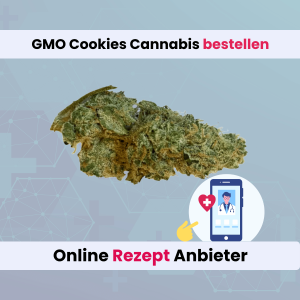 GMO Cookies Cannabis