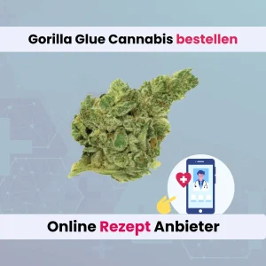 Gorilla Glue Cannabis online bestellen