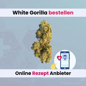 White Gorilla online bestellen