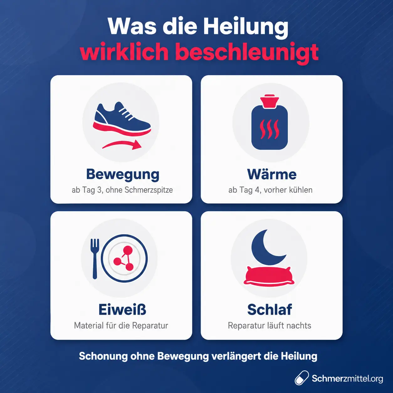 Bewegung, Wärme, Eiweiß und Schlaf als Faktoren bei der Heilung einer Muskelentzündung