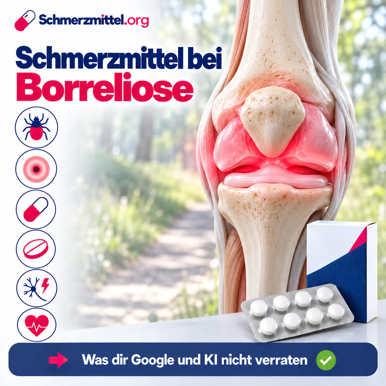Schmerzmittel bei Borreliose, 3D-Modell eines geschwollenen, rot leuchtenden Kniegelenks bei Lyme-Arthritis vor einem Waldweg, davor eine Medikamentenpackung, Icons zu Zecke, Wanderröte, Antibiotikum, Tablette, Nervenschmerz und Herz