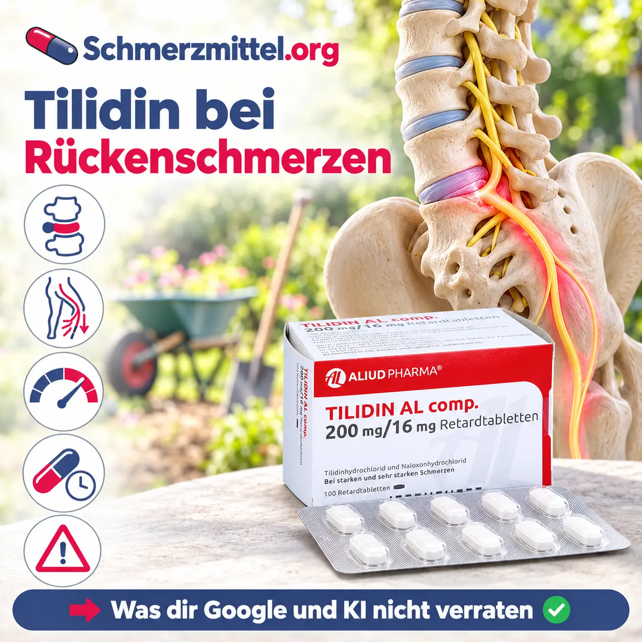 Tilidin bei Rückenschmerzen mit 3D-Modell der Lendenwirbelsäule, pink-rot markierter Bandscheibe und Ischiasnerv vor einem Garten, Tilidin Packung und Icons für Bandscheibe, Ischias, Schmerzskala, Retardtablette und Warnzeichen