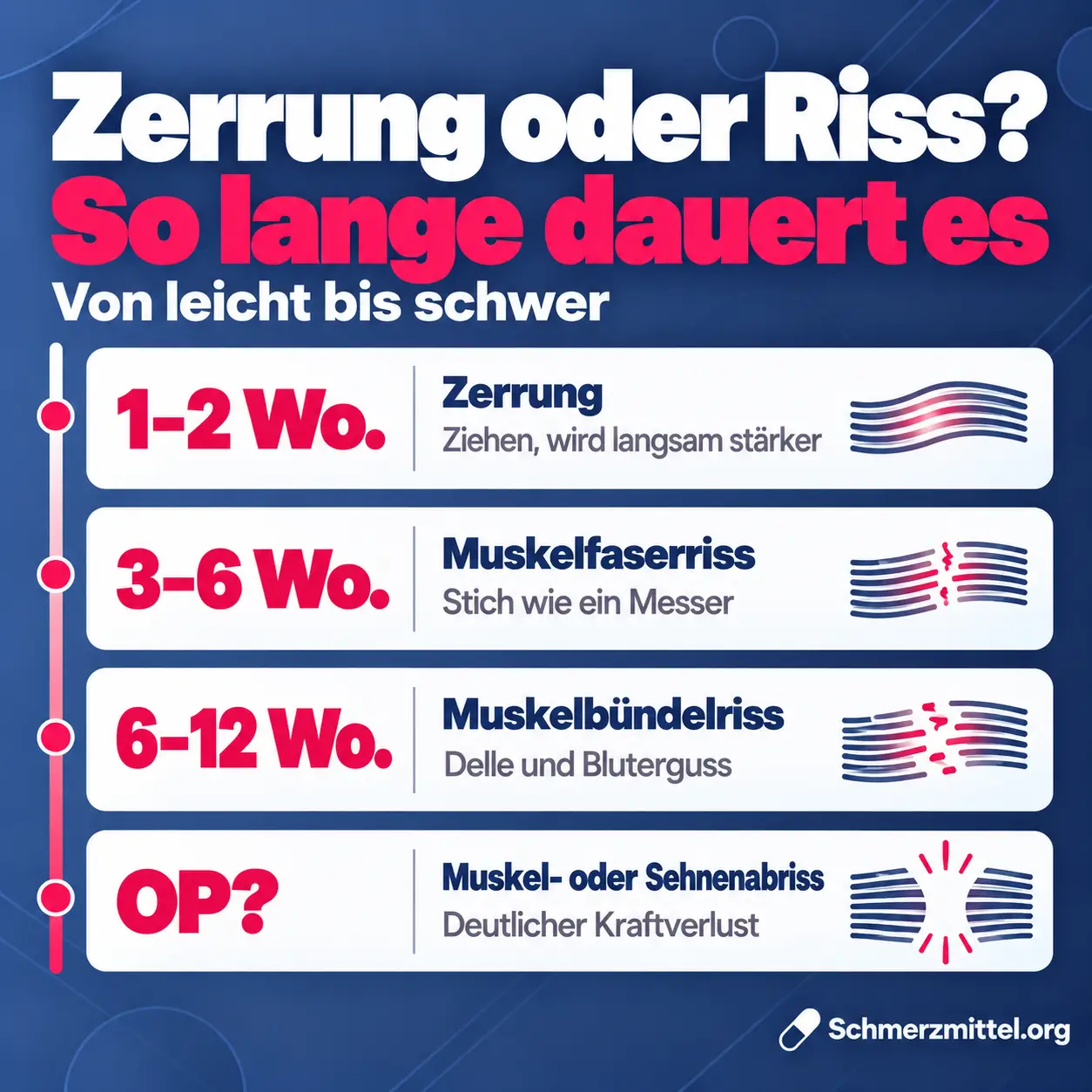 Zerrung oder Riss, Zerrung ein bis zwei Wochen mit Ziehen, Muskelfaserriss drei bis sechs Wochen mit messerartigem Stich, Muskelbündelriss sechs bis zwölf Wochen mit Delle und Bluterguss, Muskel- oder Sehnenabriss mit Kraftverlust und möglicher OP
